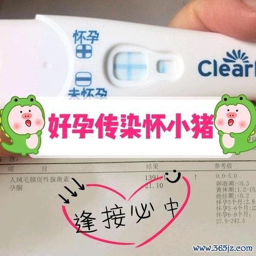 丹东试管婴儿助孕机构推荐丹东专业助孕服务